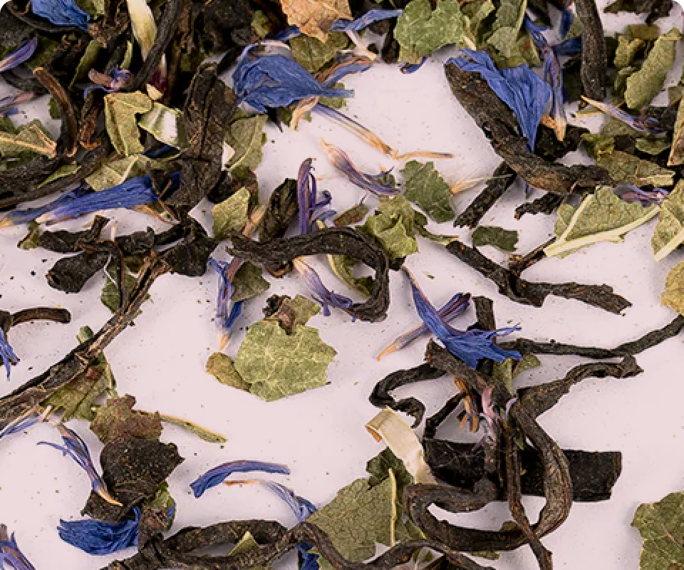 Herbal blend – “Willow herb & Black currant”