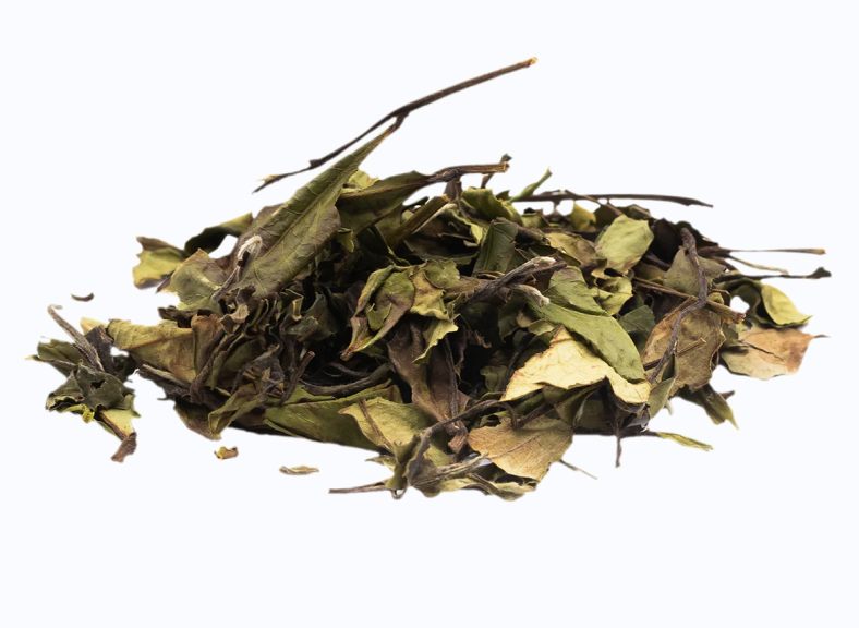 White tea – “Longevity Eyebrow”