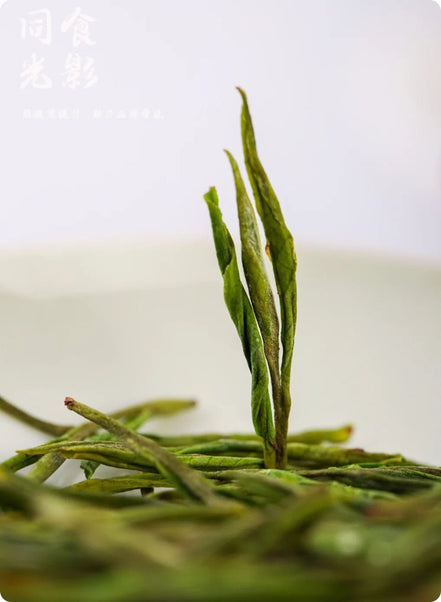 White tea – “Green Snow Buds”